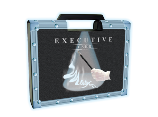 10003  Executive Magic Set, CARD